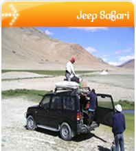 jeep safari, jeep safari himachal, jeep safari himachal pradesh, himacha jeep safari